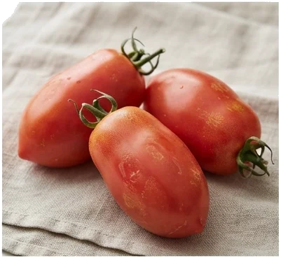 A Escolha do Tomate Ideal no Mercado Brasileiro
