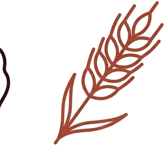 Trigo decorativo
